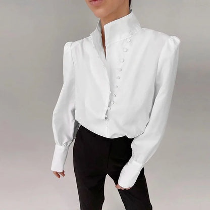 Women's Elegant Turtleneck Long Sleeve Shirt