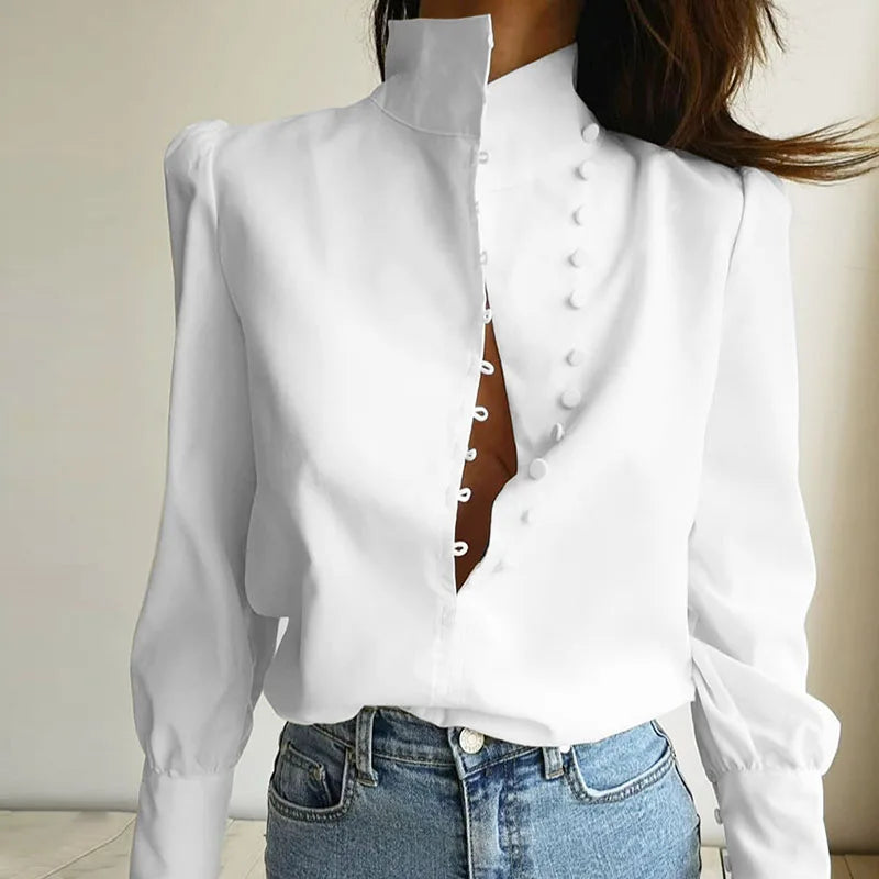 Women's Elegant Turtleneck Long Sleeve Shirt